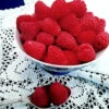 Julia *new* Raspberry Bushes -Fruit Trees Sales 2024 Rasp20Julia