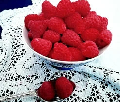 Julia *new* Raspberry Bushes