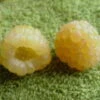 *kiwi Gold Raspberry Bushes -Fruit Trees Sales 2024 Rasp20Kiwi20Gold